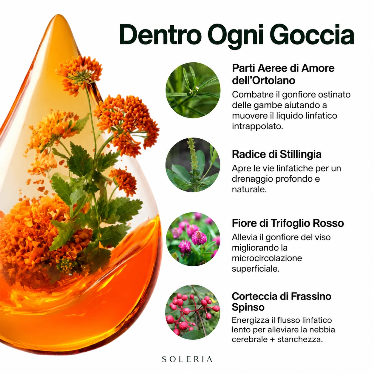 Drenaggio linfatico Soleria - Gocce naturali